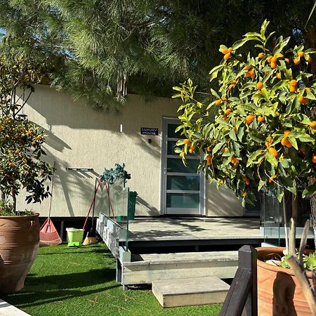 Sofros Valley Hills Chalet Agios Mamas Екстер'єр фото